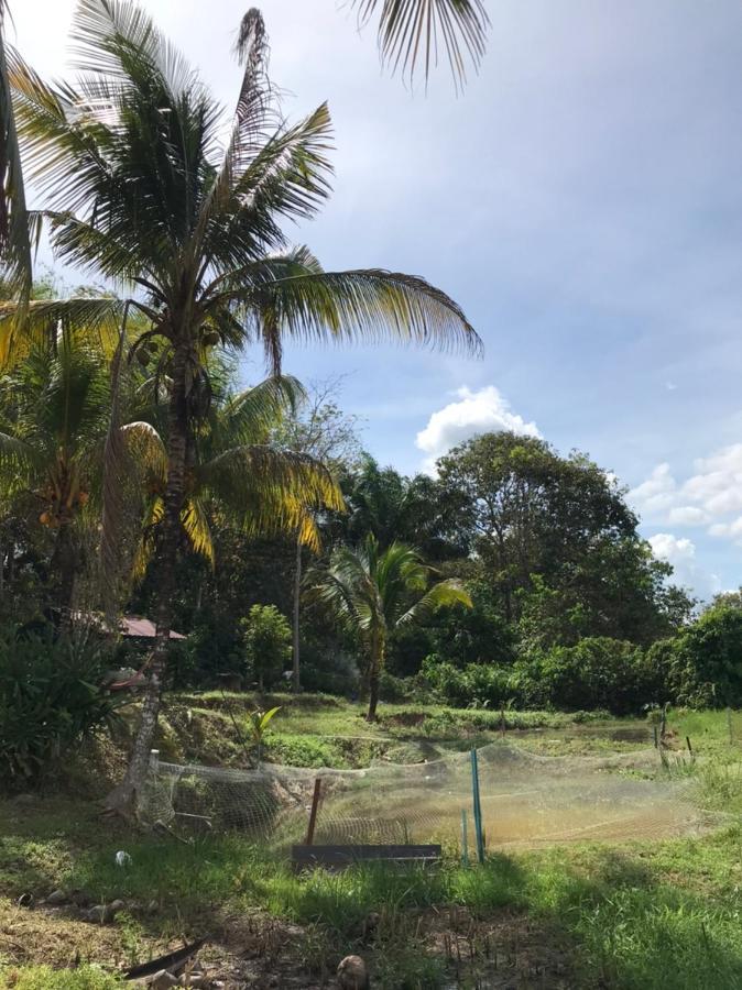 Homestay Bendang Hilir Kuala Nerang Exteriör bild